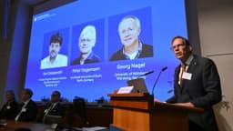 Tres científicos reciben el Premio Nobel por sus investigaciones sobre la actividad cerebral