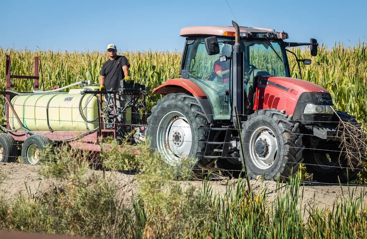 Agricultores trabajan en los campos cerca de Fallon, Nevada, el 26 de agosto de 2026. (John Fredricks/The Epoch Times)