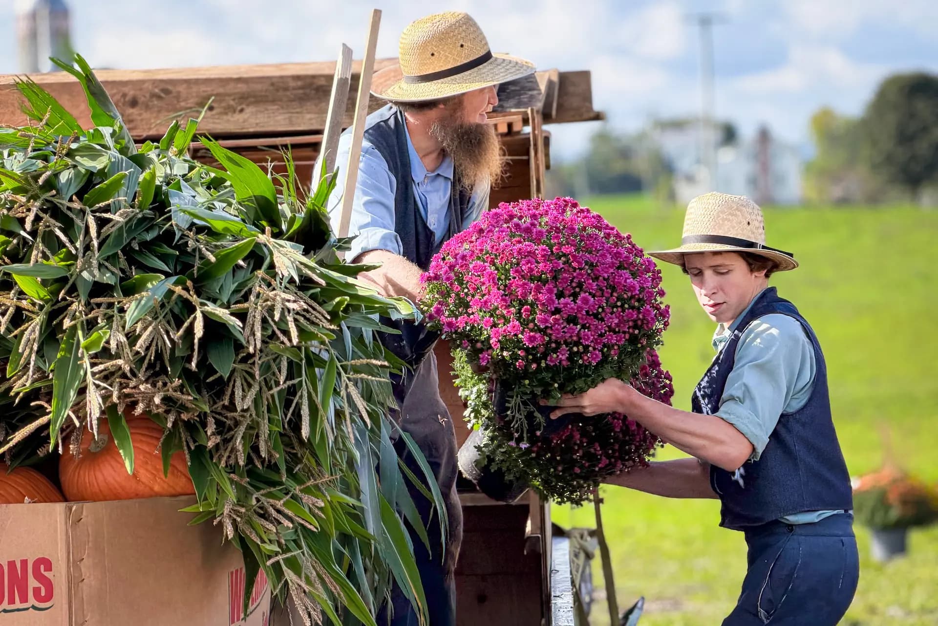 Hombres amish descargan flores para la venta durante la subasta de productos agrícolas del valle de Mohawk en Fort Plain, Nueva York, el 18 de septiembre de 2026. (Allan Stein/The Epoch Times).