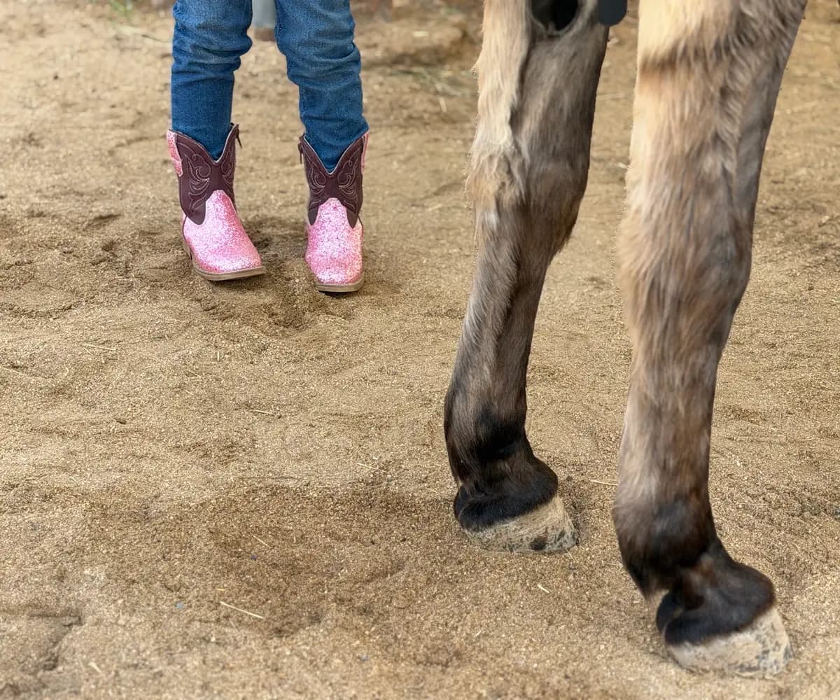 Dylan, de cuatro años (izquierda), luce sus botas de vaquera rosa junto a Alfred, un burro de 11 años, en Cave Creek, Arizona, el 24 de septiembre de 2026. (Allan Stein/The Epoch Times)