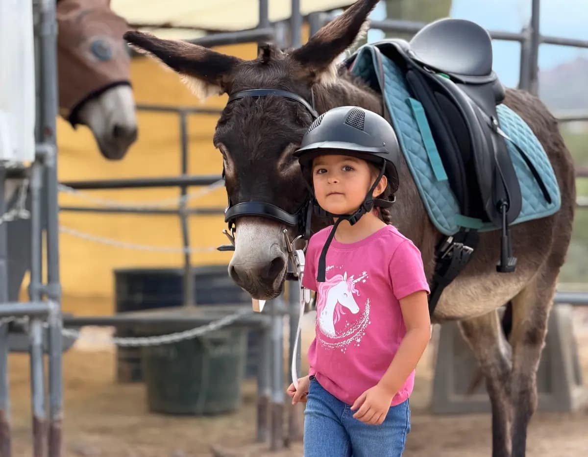 Dylan, de 4 años, guía a su burro entrenador, Alfred, por la correa de su cabestro en Donkeys of the Heart en Cave Creek, Arizona, el 24 de septiembre de 2026. (Allan Stein/The Epoch Times)