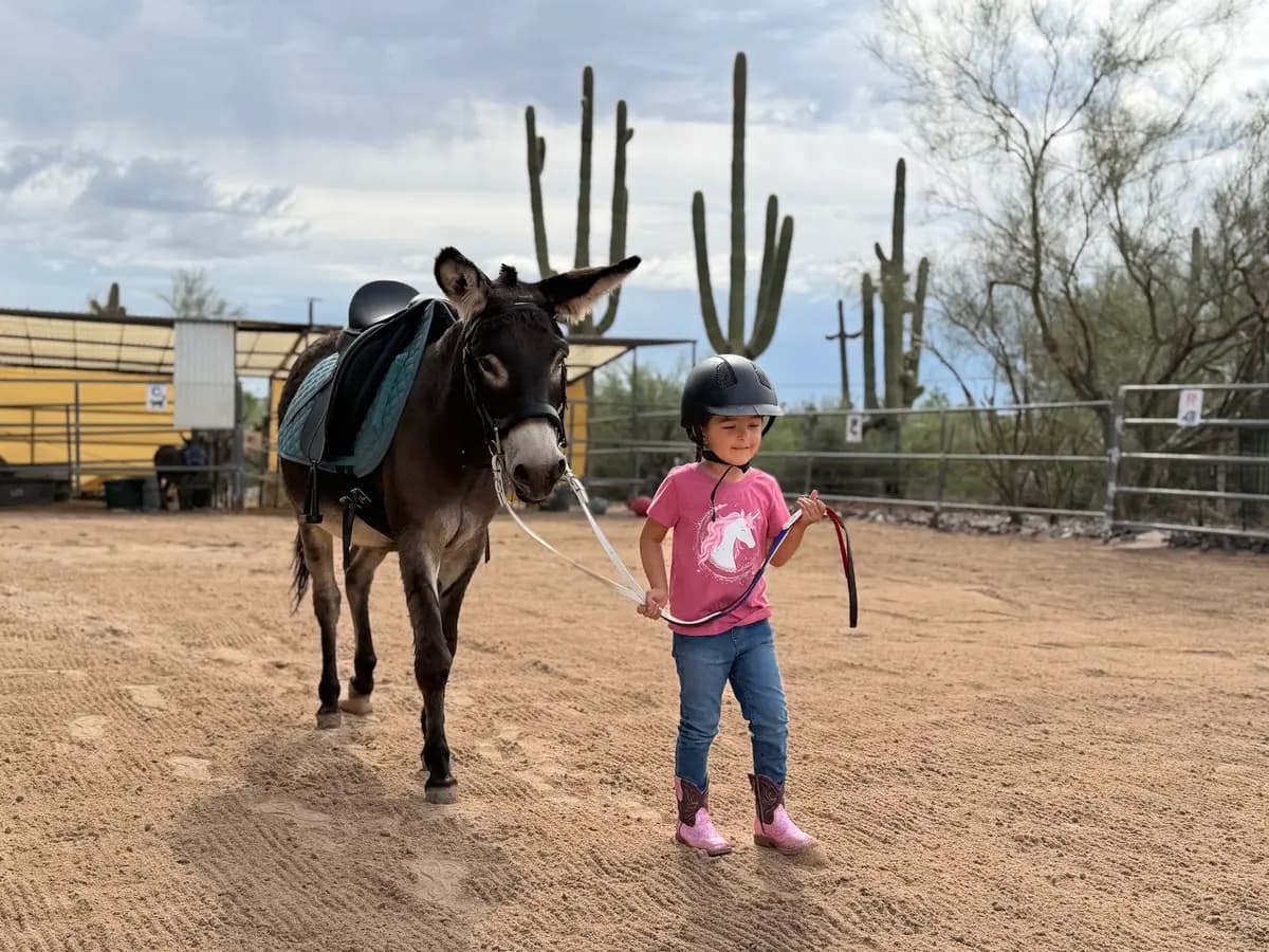 Dylan, de 4 años, pasea a Alfred dentro del corral de Donkeys of the Heart en Cave Creek, Arizona, el 24 de septiembre de 2026. (Allan Stein/The Epoch Times)
