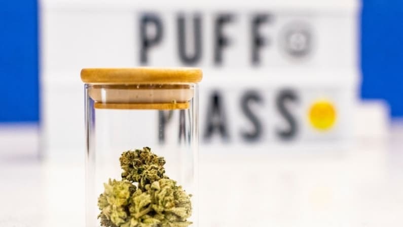 Aumentan un 49 % en una década las hospitalizaciones por cannabis en este estado