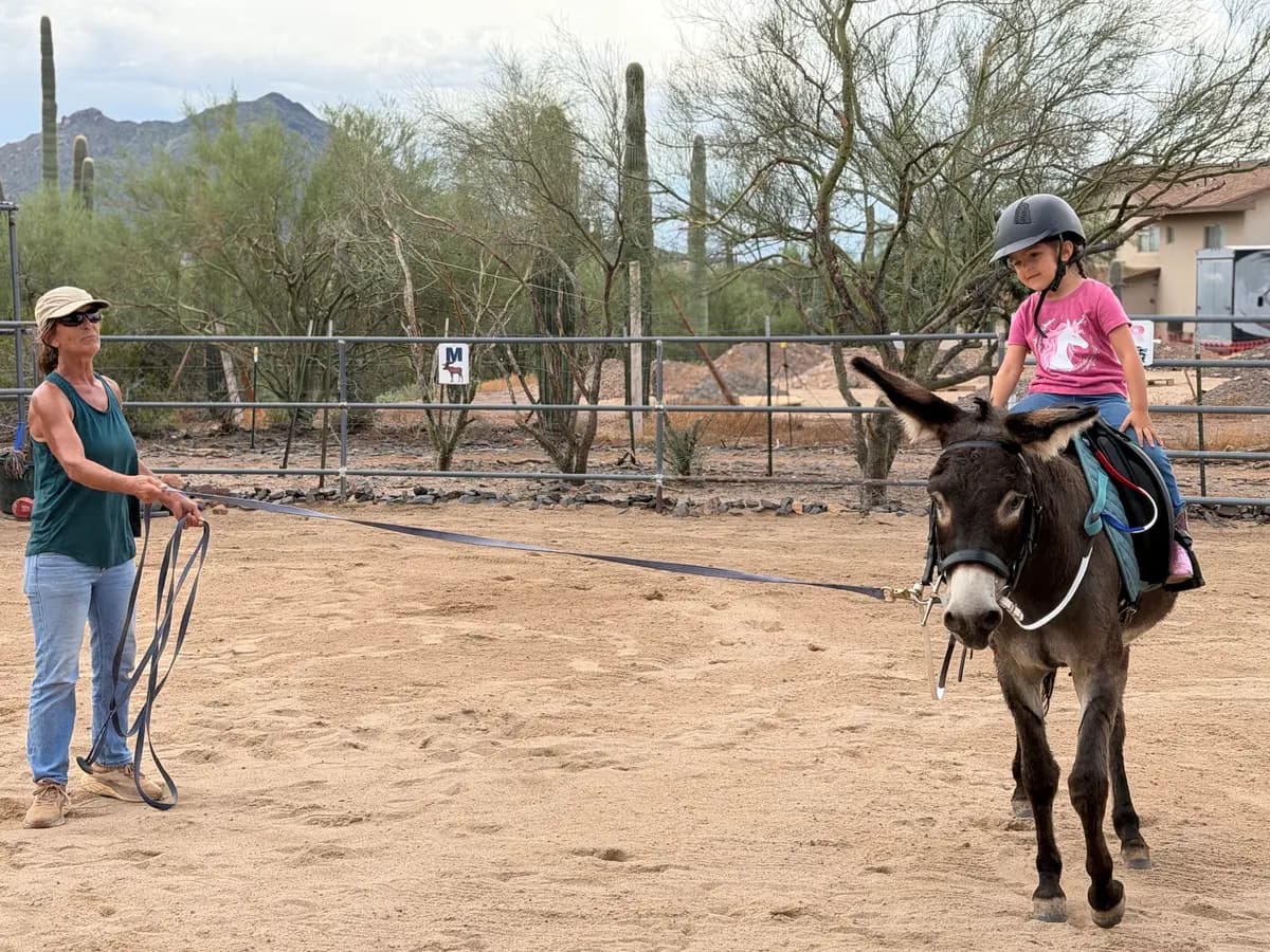 Sophie Rainer (izquierda) guía al burro Alfred y a su jinete Dylan, de 4 años, por el recinto de Donkeys of the Heart en Cave Creek, Arizona, el 24 de septiembre de 2026. (Allan Stein/The Epoch Times)