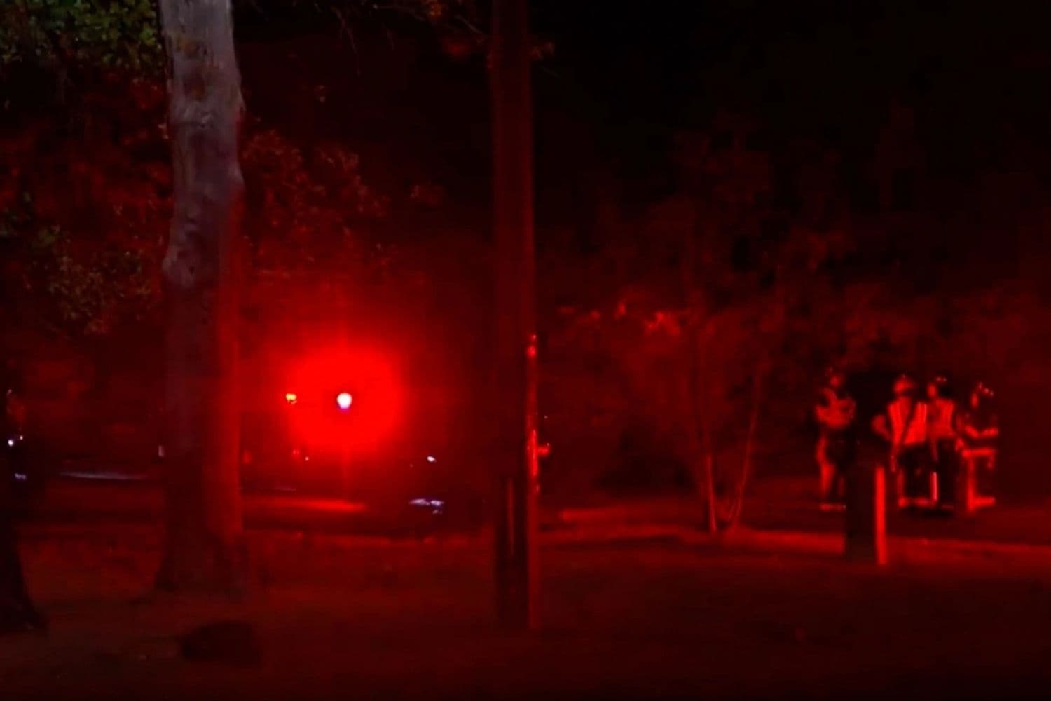 Personal de primeros auxilios en el lugar de un accidente aéreo mortal ocurrido en una zona boscosa cerca del Parque Estatal Mirror Lake, en la localidad de Dellona, Wisconsin, el 13 de octubre de 2026, en un fotograma de un video. (WKOW vía AP)
