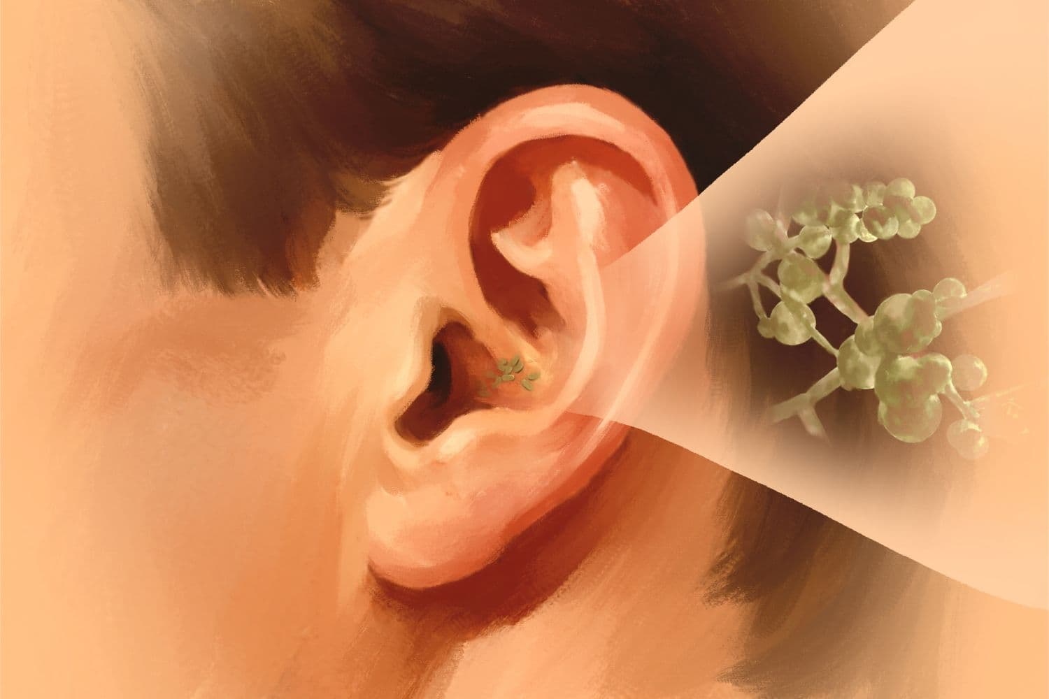 Imagen de Salud