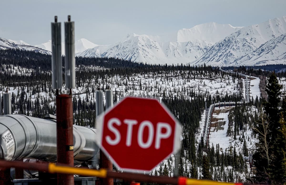 Una parte del sistema de oleoductos Trans-Alaska atraviesa un bosque boreal, pasando por las montañas de la Cordillera de Alaska, cerca de Delta Junction, Alaska, el 5 de mayo de 2023. (Mario Tama/Getty Images).