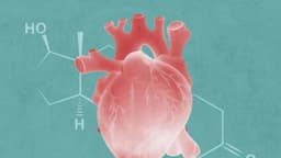 Tener niveles demasiado bajos o altos de testosterona puede poner en riesgo la salud del corazón