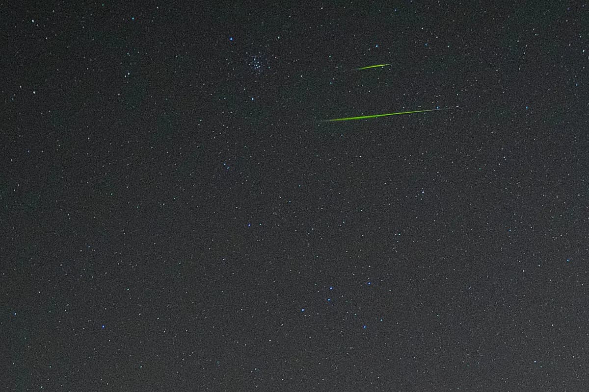 <em>Un par de meteoros verdes Leónidas cruzando el cielo nocturno. (Cortesía de Eliot Herman).</em>