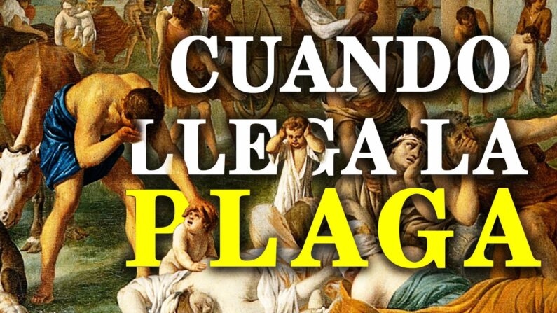 Imagen de Cuando llega la plaga