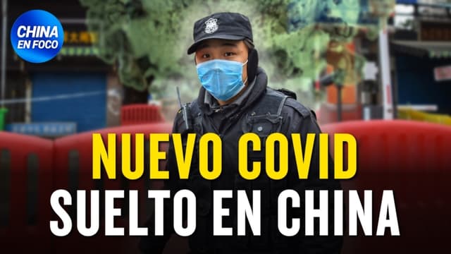 Lo revelan: Nuevo COVID en China que infecta a humanos - Otra vez la mujer murciélago en Wuhan
