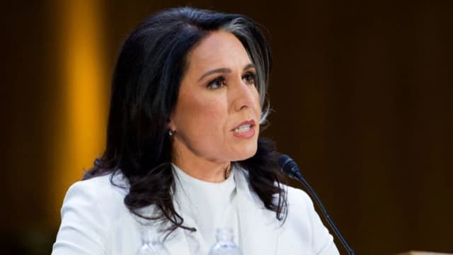 Tulsi Gabbard afirma que más de 100 funcionarios de inteligencia fueron despedidos por participar en chats secretos