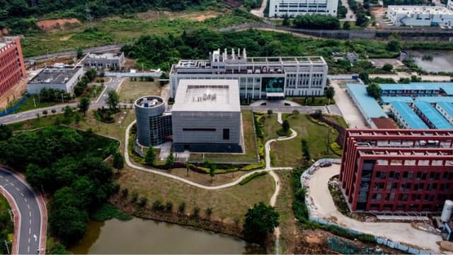 Investigadores chinos encuentran virus de murciélago similar al COVID en laboratorio de Wuhan