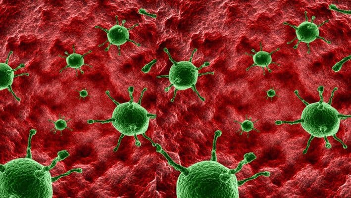 El colesterol juega un papel crucial en la respuesta inmunitaria del cuerpo. Imagen ilustrativa. (kjpargeter/Freepik)