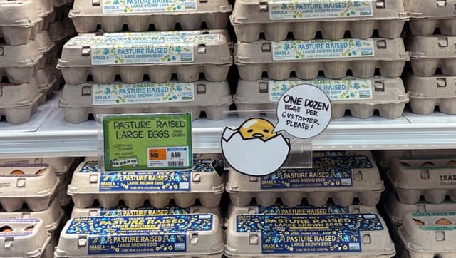 Turquía exportará 15,000 toneladas de huevos a EE. UU. para contrarrestar efectos de gripe aviar