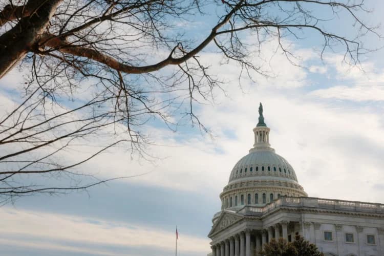 Una vista del Edificio del Capitolio de EE. UU. en Washington, DC, el 18 de febrero de 2025. (Anna Moneymaker/Getty Images)