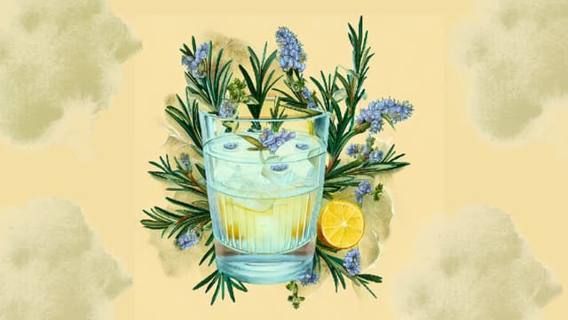 Romero: La hierba del amor con el poder de potenciar la cognición