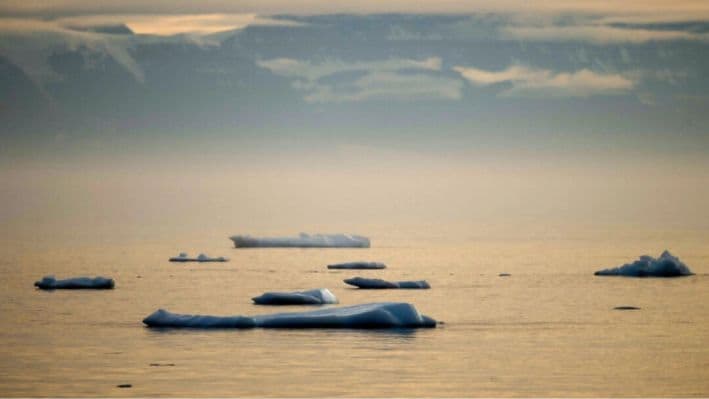 Icebergs y trozos de hielo flotando al atardecer en el fiordo Scoresby Sound, en el este de Groenlandia, el 16 de agosto de 2023. (Olivier Morin/AFP vía Getty Images)