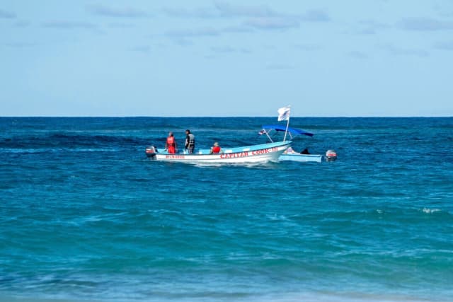 Amigo de la estudiante estadounidense desaparecida es persona de interés, dicen autoridades.