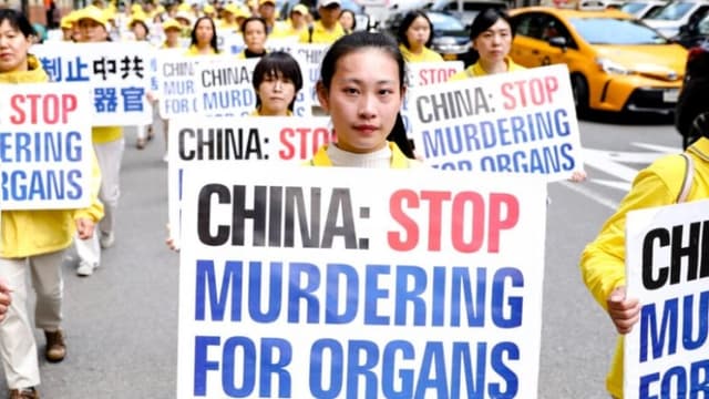 La sustracción forzada de órganos en la China comunista atrae la atención mundial