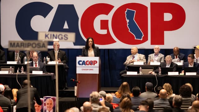 Eligen a Corrin Rankin presidenta del Partido Republicano de California