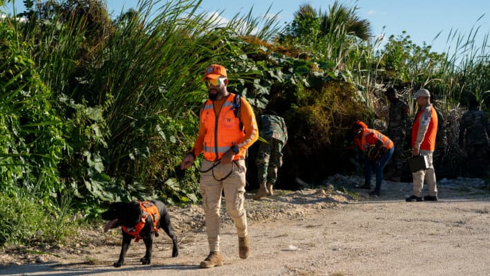 Un miembro de la unidad canina de defensa civil busca a Sudiksha Konanki, una estudiante universitaria de EE. UU. que desapareció en una playa de Punta Cana, República Dominicana, el 10 de marzo de 2025. (Francesco Spotorno/AP Photo).