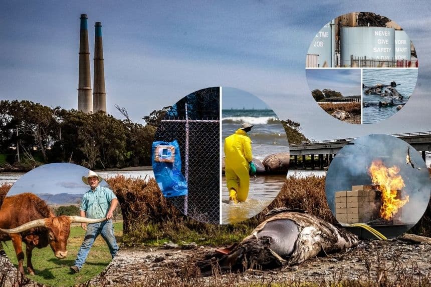 Moss Landing, California. Ilustración The Epoch TImes (John Fredricks/The Epoch Times)