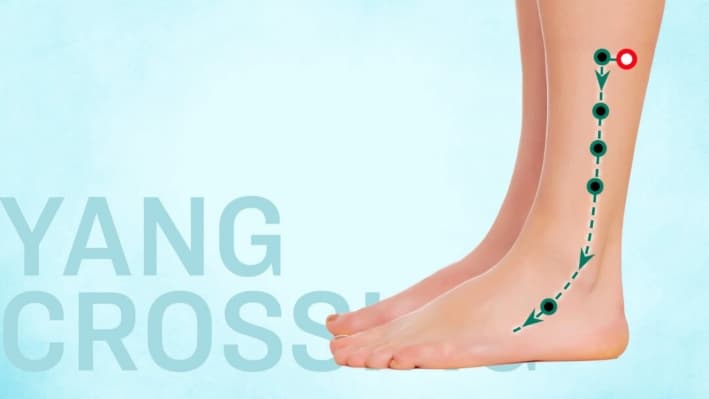 Yang Jiao: Un punto de acupuntura poco apreciado para la ansiedad y las palpitaciones