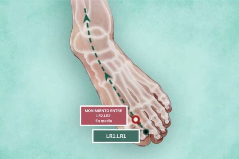 Ubicación de la Xing Jian (The Epoch Times)