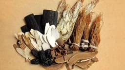 El arte de procesar hierbas en la MTC: Aprovechando al máximo el potencial de las hierbas medicinales