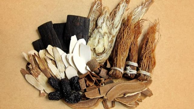 El arte de procesar hierbas en la MTC: Aprovechando al máximo el potencial de las hierbas medicinales