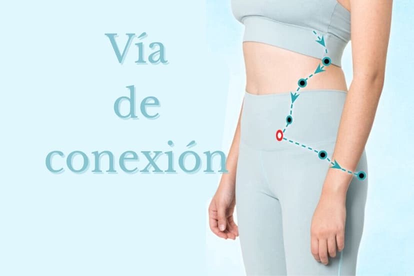 GB28 Camino de enlace Wei Dao