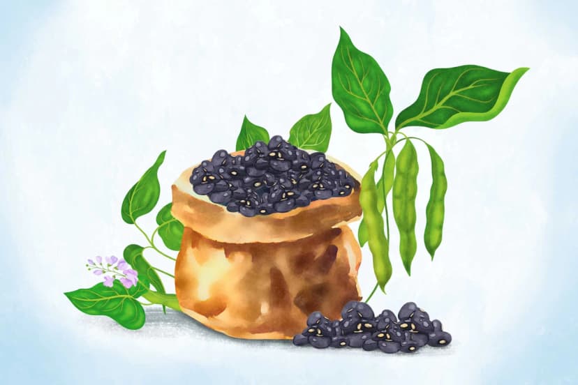 (Ilustración de The Epoch Times / Shutterstock)