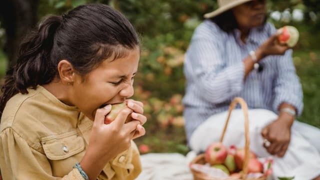 Poder curativo de la manzana: Remedio natural para prevenir el cáncer, el eczema e intestino permeable
