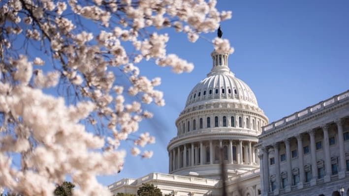 El Capitolio de Estados Unidos en Washington, el 27 de marzo de 2025. (Madalina Vasiliu/The Epoch Times)