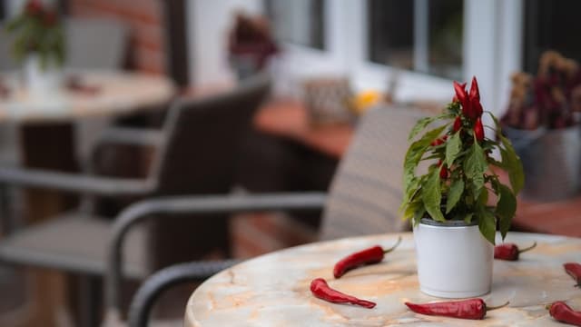 Consumir chile durante el embarazo se relaciona con menor riesgo de diabetes gestacional, dice estudio