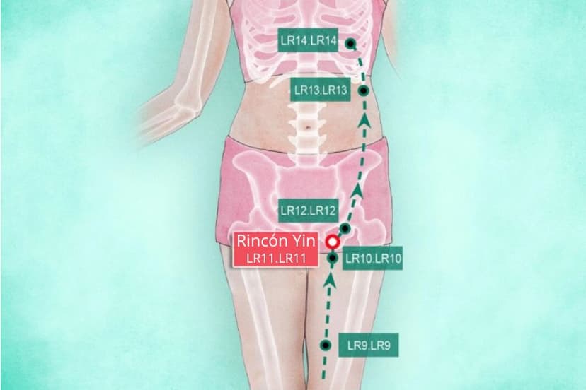 LR11 Rincón Yin (Yin Lian) The Epoch Times