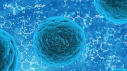 Su microbioma intestinal podría afectar al cáncer de colon: qué puede hacer