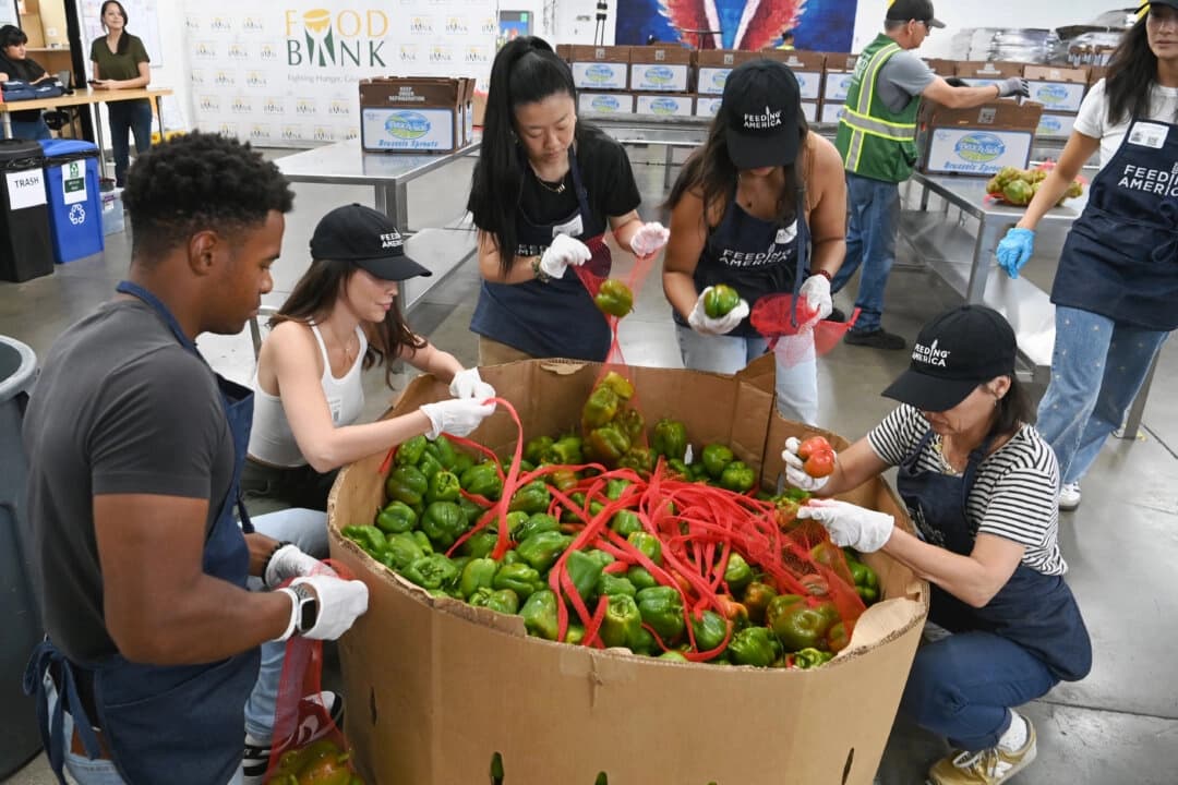 (De izquierda a derecha) Grant Hall, Priscilla Quintana, Sherry Cola, Marisela Zumbado y Constance Zimmer asisten al evento del Mes de Acción contra el Hambre de Feeding America en el Banco Regional de Alimentos de Los Ángeles el 13 de septiembre de 2024. (Jon Kopaloff/Getty Images para Feeding America)