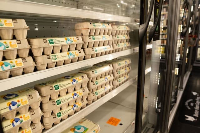 Precios al por menor de los huevos siguieron subiendo en marzo, según datos