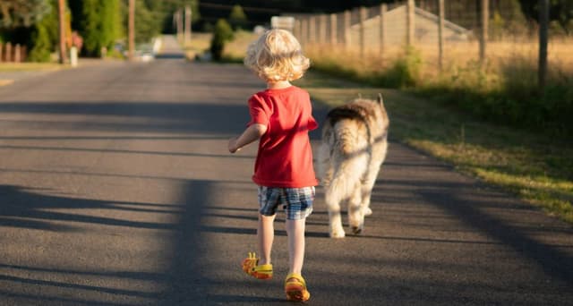 "Fue una alegría saber que estaba vivo": Niñito de 2 años perdido es rescatado por un perro ranchero