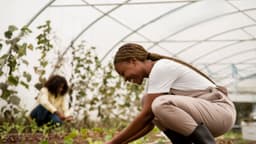 La jardinería y la agricultura pueden mejorar la salud mental y la autoestima, dice estudio
