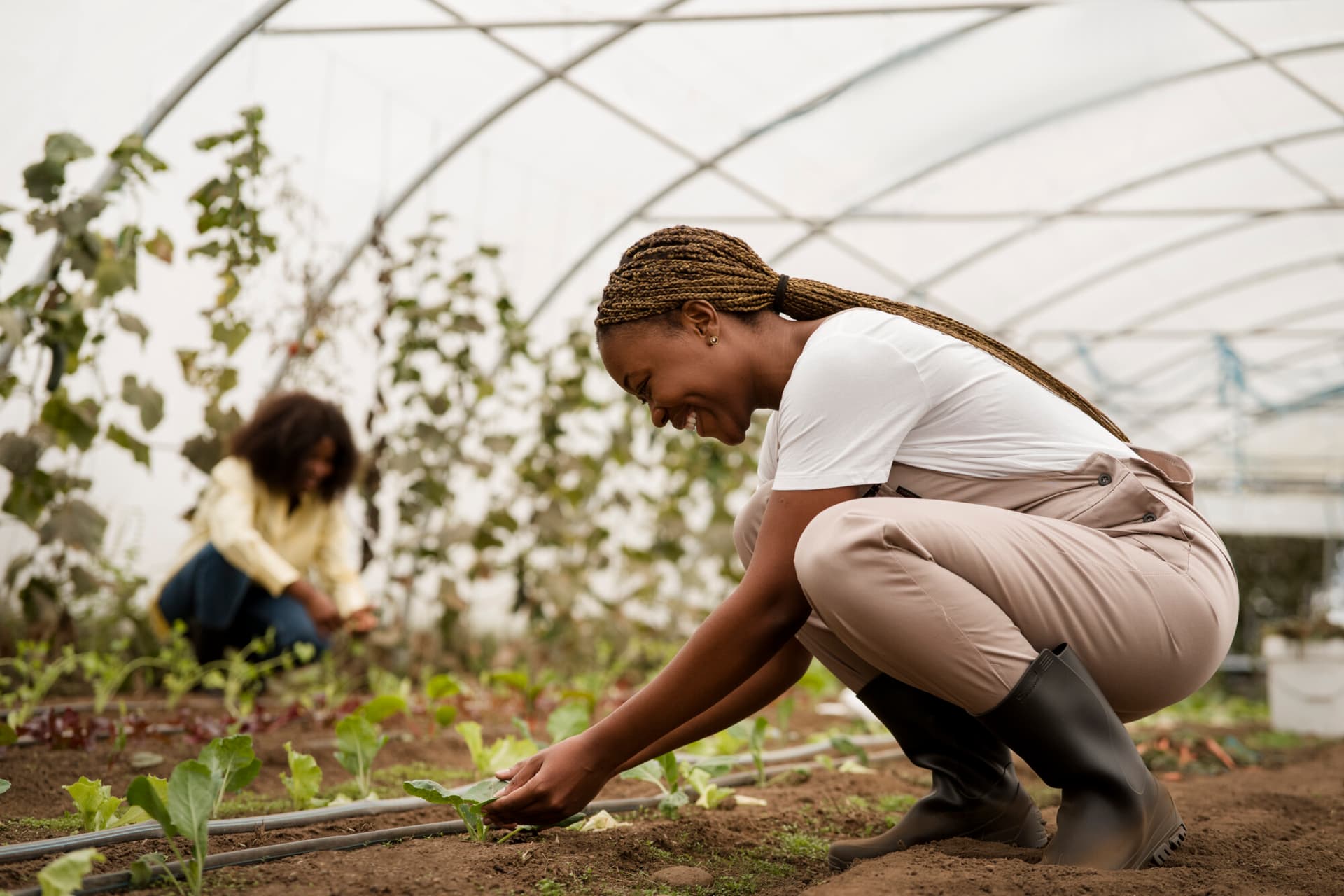 mujeres cuidando plantas (Imagen de freepik)