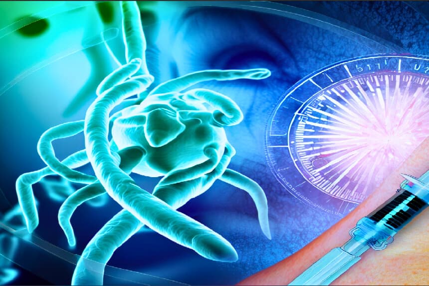 Antiguo antibiótico muestra resultados prometedores contra la enfermedad de Lyme en dosis ultrabajas