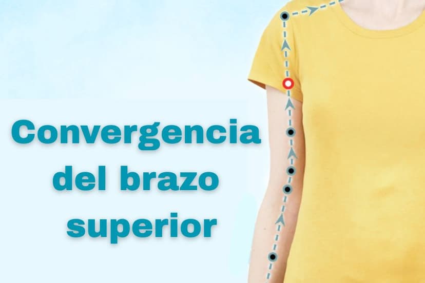 TE13 SJ13 Convergencia del brazo superior (Nao Hui) The Epoch Times