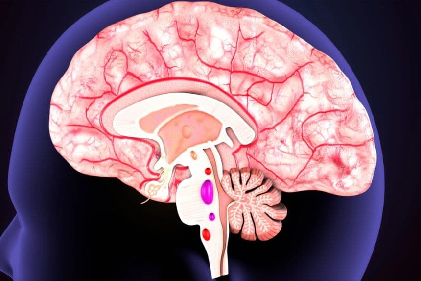 (Life science/Shutterstock)