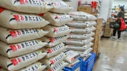 Encuentran arsénico, cadmio y plomo en el arroz comprado en tiendas