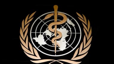 La situación del hantavirus es estable, dice el director de la OMS