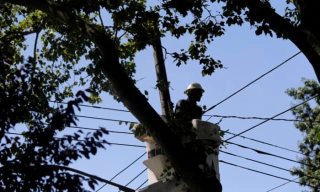 Los precios de la electricidad serán un 13% más altos este año que en 2022, según proyecciones de la EIA