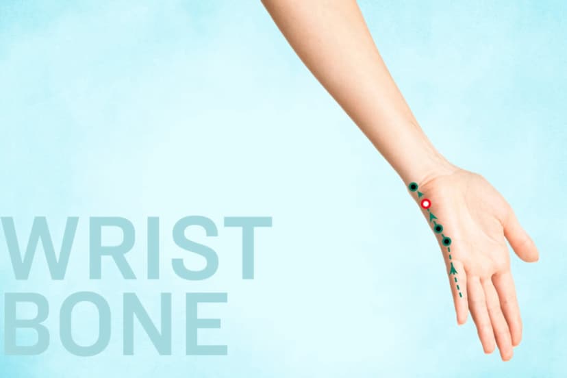 Hueso de la muñeca Si4 Si4 (Wan Gu). (The Epoch Times)